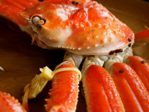 0017_01_越前がに_1000x750